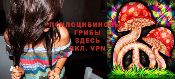ГАЛЛЮЦИНОГЕННЫЕ ГРИБЫ Навашино