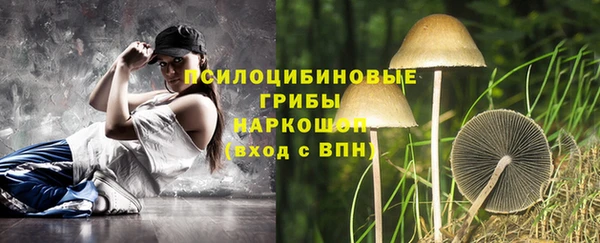 ГАЛЛЮЦИНОГЕННЫЕ ГРИБЫ Навашино