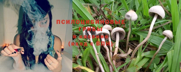 стаф Наволоки