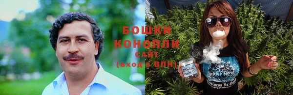 ГАЛЛЮЦИНОГЕННЫЕ ГРИБЫ Навашино