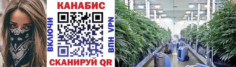 Купить закладки  Кизел  Шишки марихуана Amnesia 